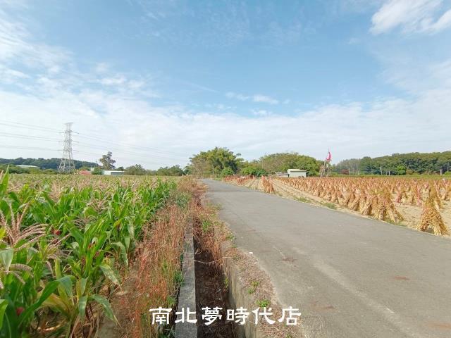 官田農地-2