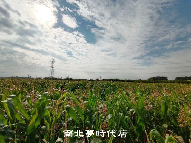 官田農地-3