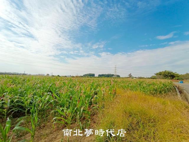 官田農地-4