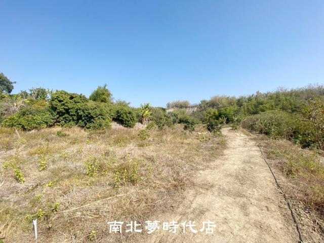 左鎮農地-9