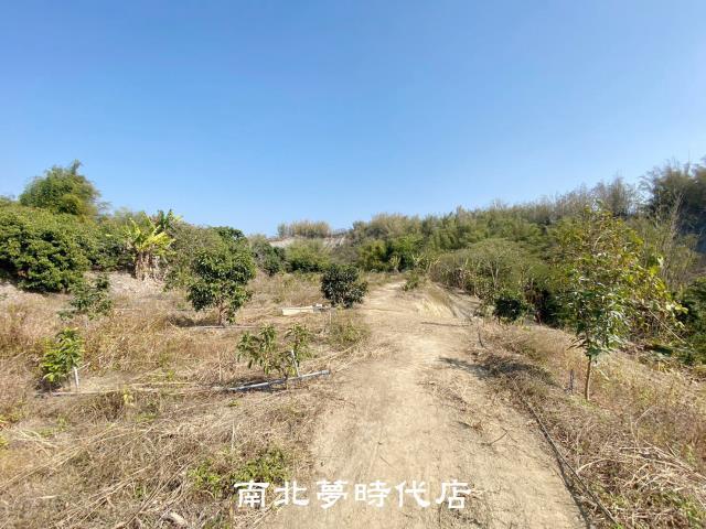 左鎮農地-10
