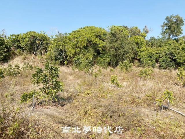左鎮農地-3