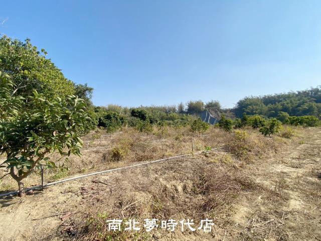 左鎮農地-5
