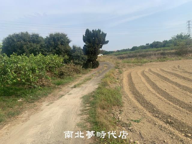 台南新化農地-1