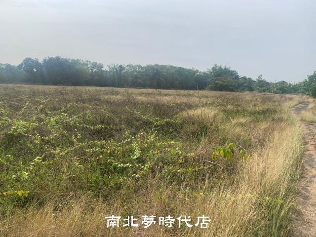台南新化農地-2