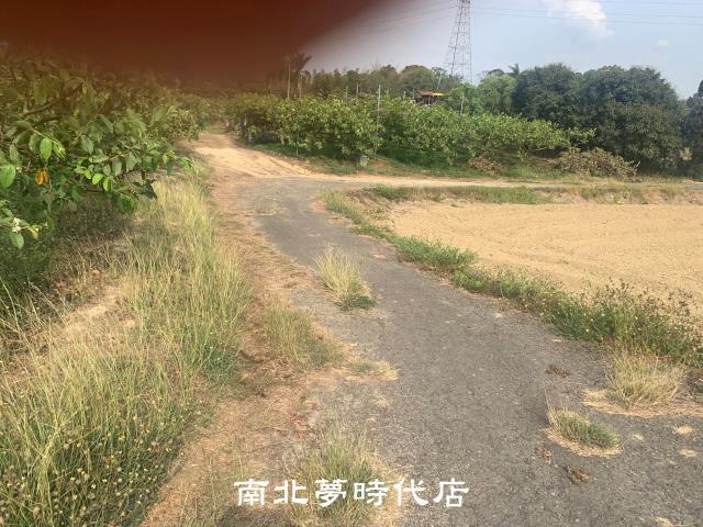 台南新化農地-4