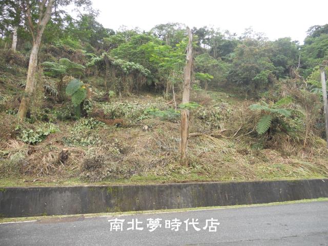花蓮壽豐農地-10