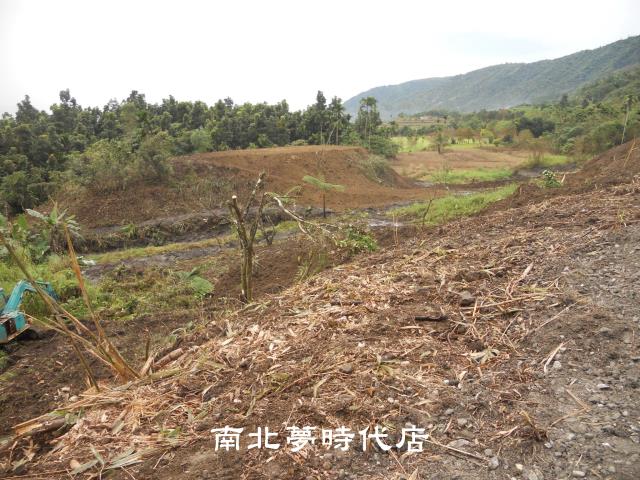花蓮壽豐農地-6