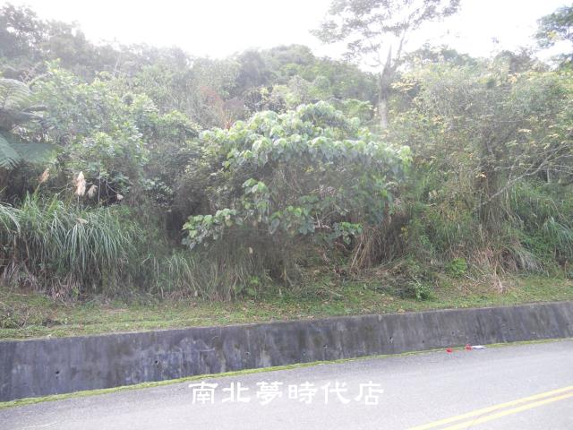 花蓮壽豐農地-7