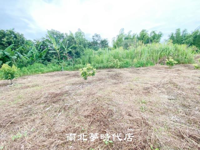 左鎮農地-9