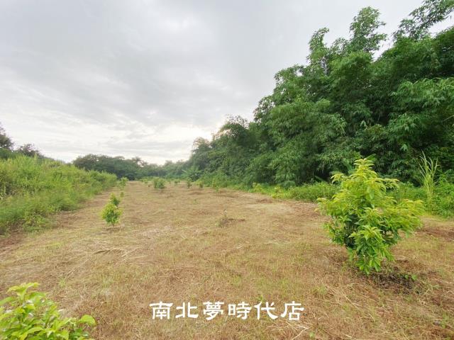 左鎮農地-10