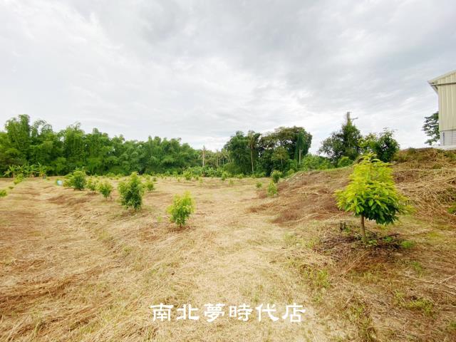 左鎮農地-12