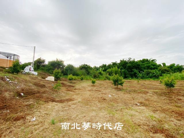 左鎮農地-13