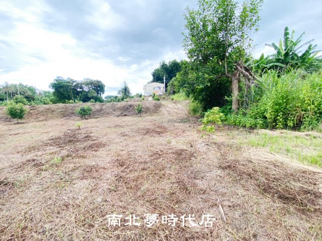 左鎮農地-7