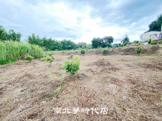 左鎮農地-8
