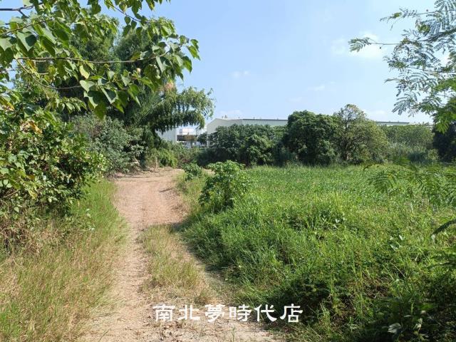 善化農地-1
