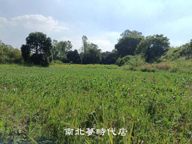 善化農地-2