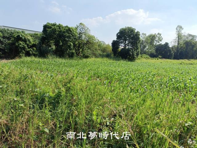 善化農地-3