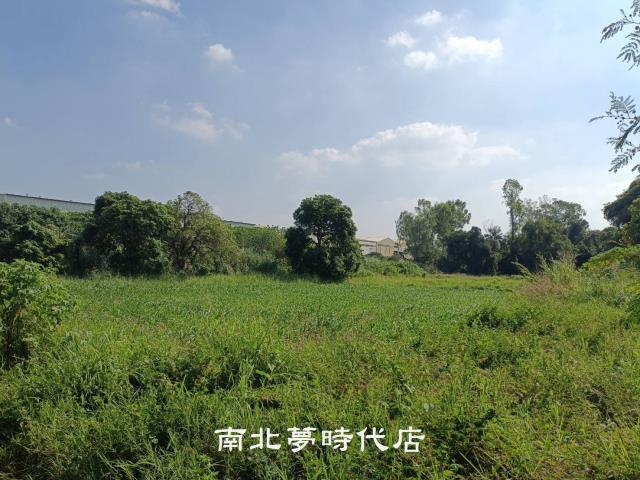 善化農地-5