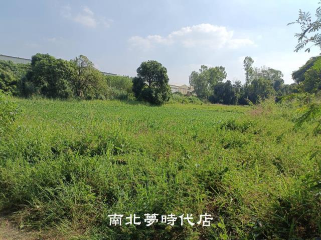 善化農地-6
