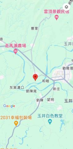 玉井農地-11