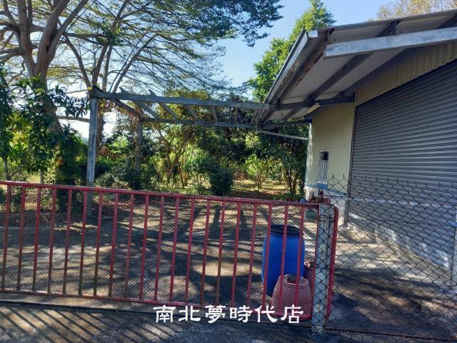 玉井農地-4