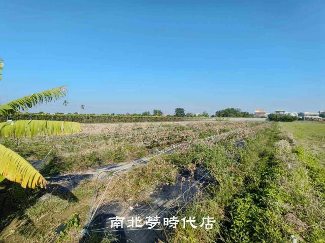 東山農地-1