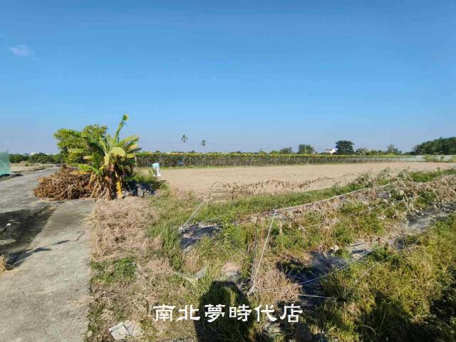 東山農地-2