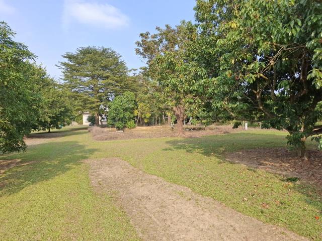 南化農地-12