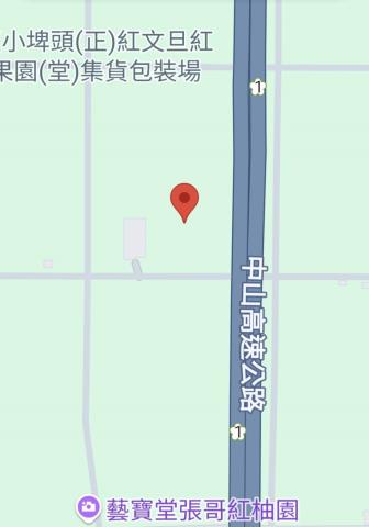 麻豆農地-8