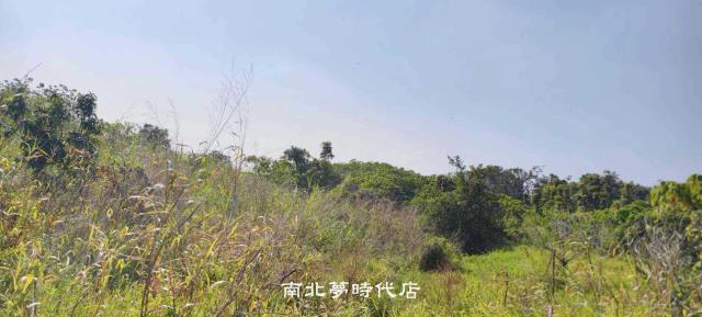 台南官田農地-1