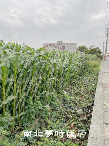 台南建地-2