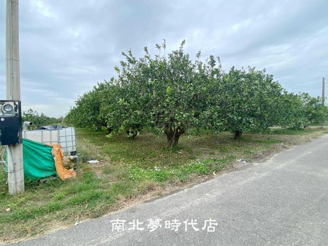 台南麻豆農地-2
