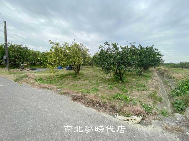 台南麻豆農地-5