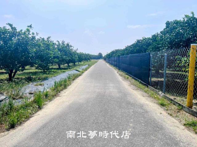麻豆農地-1