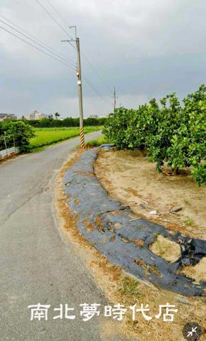 麻豆農地-8