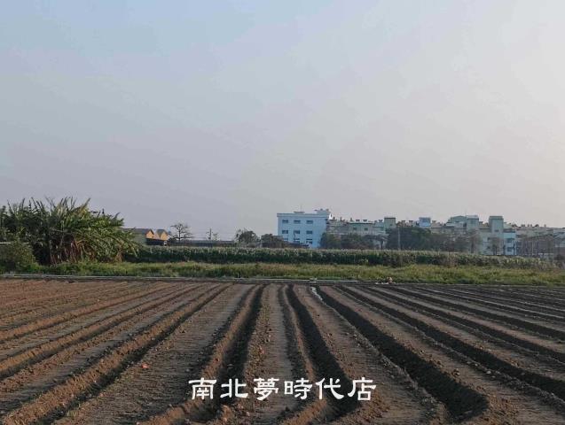 佳里農地-9
