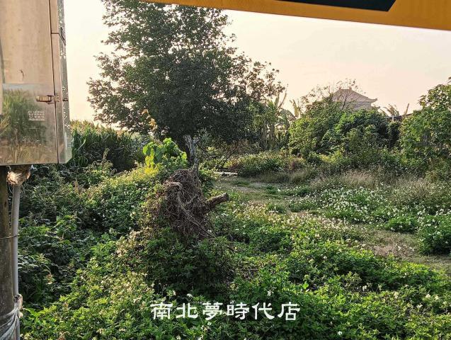 佳里農地-0