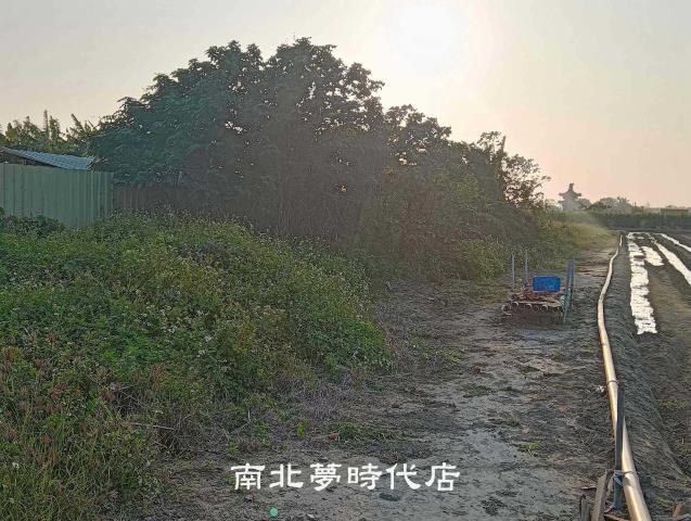 佳里農地-6