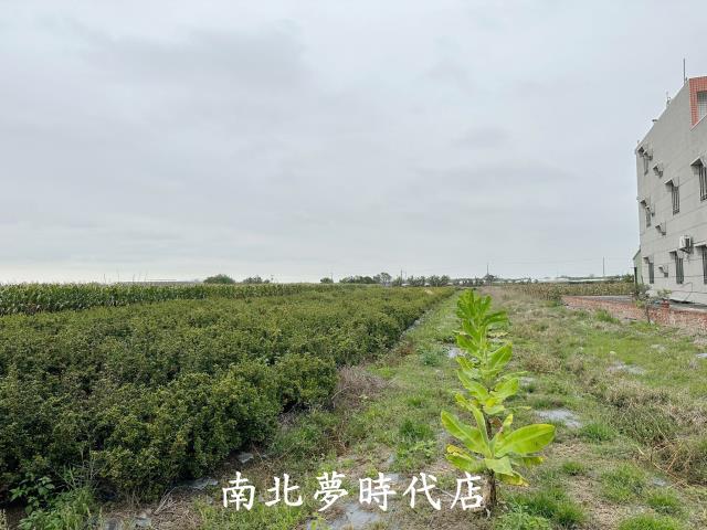 嘉義建地-1