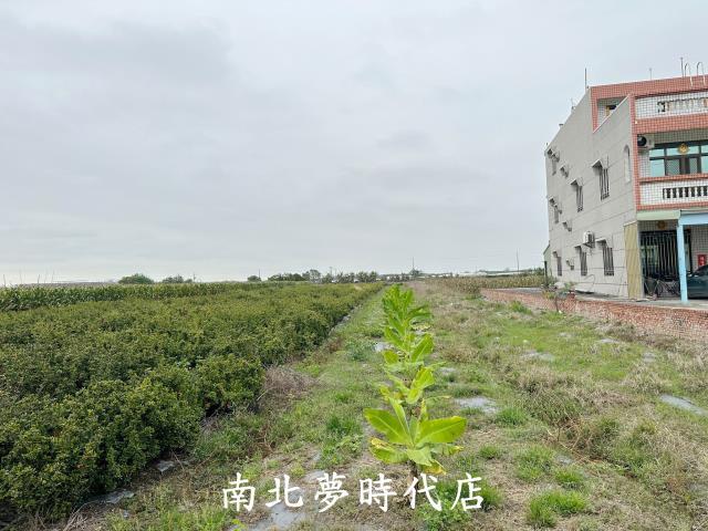 嘉義建地-7