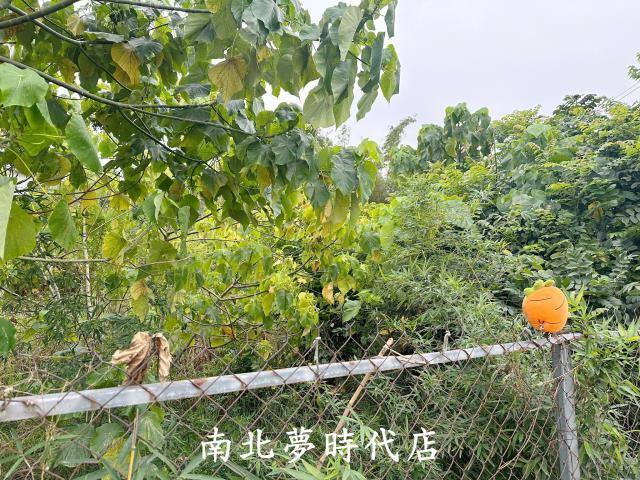 嘉義農地-1