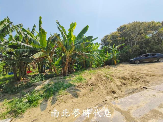 台南新化農地-4