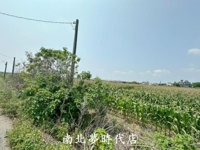 台南農地-2