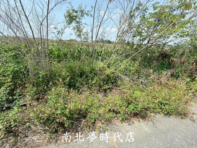 台南農地-3