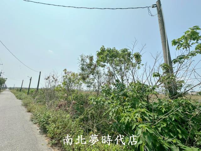台南農地-4