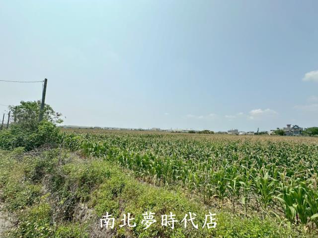 台南農地-5