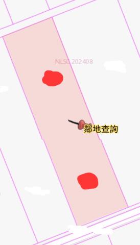 台南農地-6