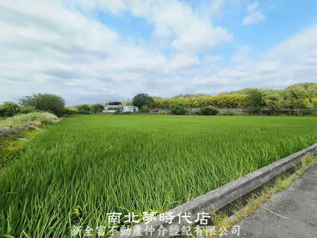 六甲農地-3