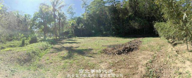 台南新化農地-1
